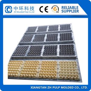Quality Semi Auto Egg Tray Packaging Machine , Reciprocating Fruit Tray Machine wholesale