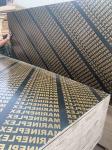 Light Weight Paint Film Faced Plywood WBP Long Service Life