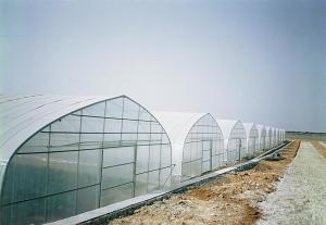 Quality Section 4m Polyethylene Film Greenhouse , Single Span Greenhouse For Vegetable wholesale