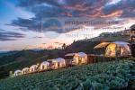 50sqm Full Glamping Dome Tent PVC Igloo Geodesic Dome Winter
