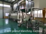 1 Year Warrenty Sus304 Peanut Butter Processing Line