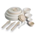 Waterproof Eco Friendly Disposable Sugarcane Bagasse Food Container