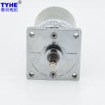 Customizable Powder Gear Chain Centric Shaft 37mm Dia 12v 24v 60rpm RS530 Dc