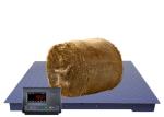 3000KG LCD Electronic Industrial Floor Pallet Scale