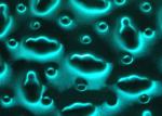 Printed EVA Laminated Glass 11.5mm Liquid Stereoscopic Effect Pattern