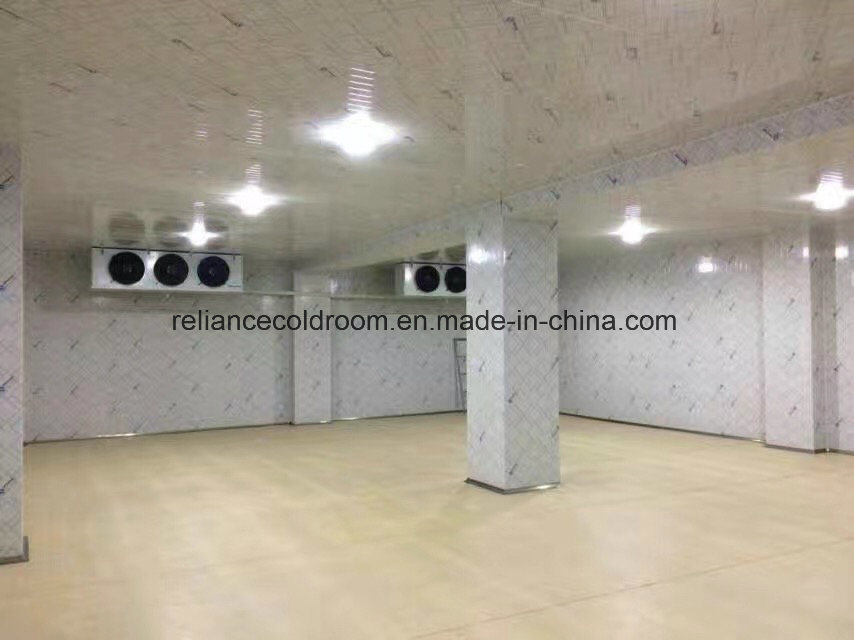 Cold Room Freezer and Cooler Room with Refrigeration System