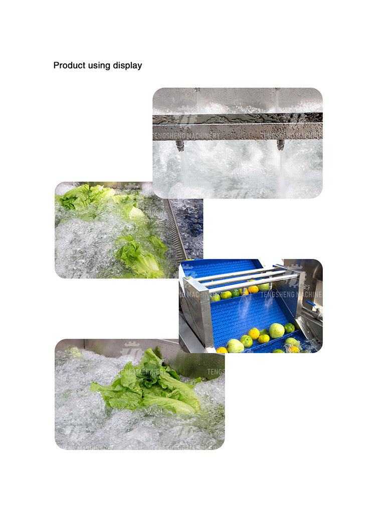 SS Fruit Bubble Washing Machine Commercial Vegetable Cleaning Equipment