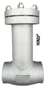 Quality ARMAN- Stainless Steel Cryogenic Insulation Check Valve SW Connection wholesale