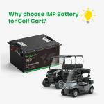 Customizable Electric Golf Trolley Lithium Battery 48volt Environmental Friendly