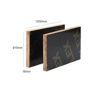Quality 15mm 20mm Marine Laminated Plywood E0 Marineplex Plywood 1220x2440m wholesale