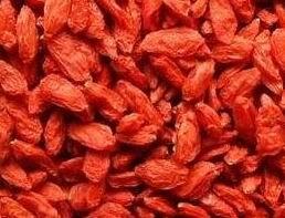 Quality Dried Goji Berry wholesale