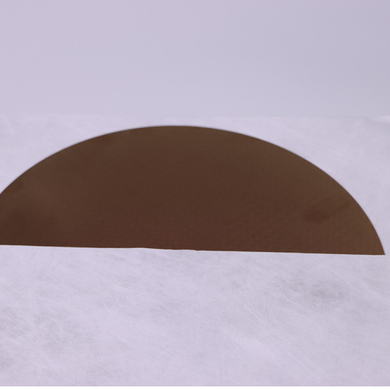 Premium Flexibility Cleanroom Wipe Papers For Sensitive Electronic And Semiconductor Applications