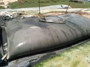 Quality Wastewater Treatment Geotextile Dewatering Tubes wholesale