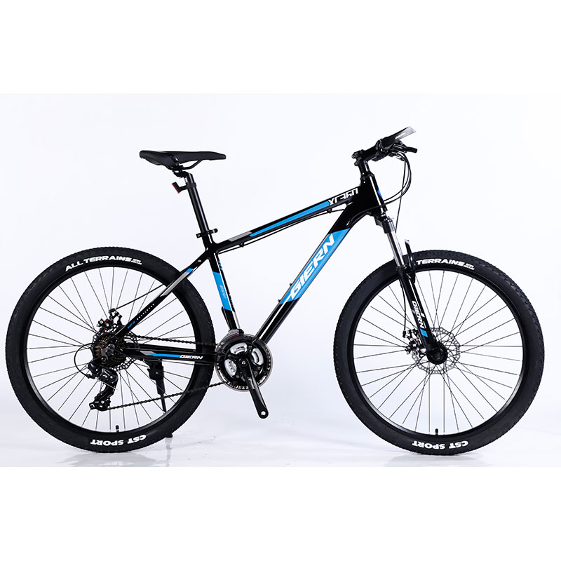 Large Women's Mountain Bike Set Equipped with Al Cassette Hub and Double Wall Rim Hl