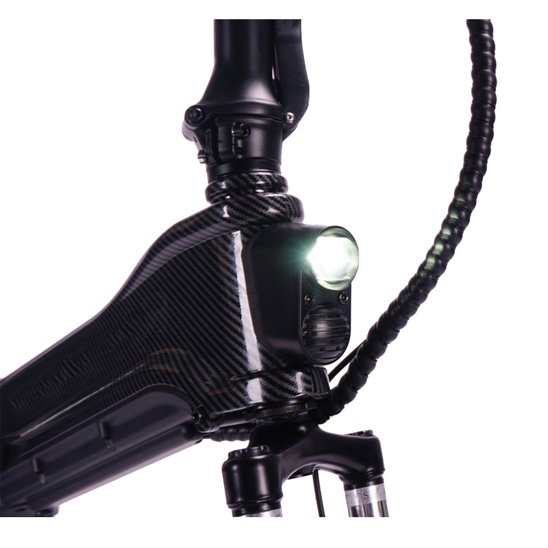 Hidden Battery 48V 500W Motor Folding Ebike with Suspension Fork and Super Light Mini