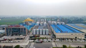 Quality 30 - 1500TPD Sunflower Oilseed Press Plant Low Noise Low Temperature wholesale