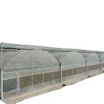 Ventilation Vents for Optimal Growth of Tomatoes and Other Vegetables in