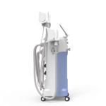 Cheap Price Slimming Body Shape Cryolipolysis Cool Shaping Weight Loss Machine