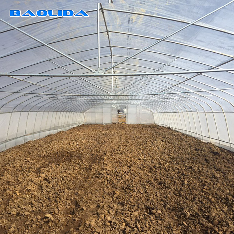 Vegetable Growth Plastic Film Greenhouse All Season Growing Agricultural