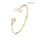 Shamrock Stainless Steel Bangle