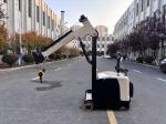 300 KG Lifting Capacity Non Standard Electric Mini Crane Arm Truck Lifting