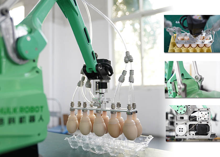 Collaborative 4 Axis Small Academic Robot Arm With Kit