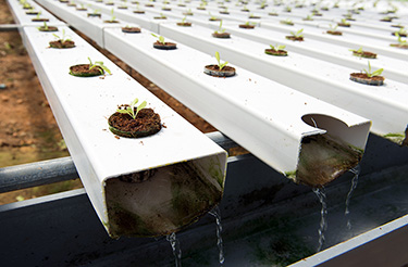 NFT Hydroponic Channel Growing Plants PVC Plastic Pipe Pouch Holes for Optimal Growth