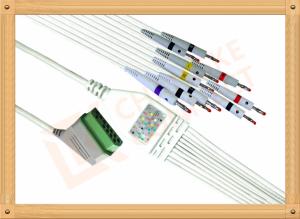 Quality Nihon Kohden BJ900P ECG Monitor Cable 10 Leadwires Banana IEC wholesale