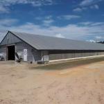 Prefab Steel Structure Chicken House Building , Light Steel Fabricated Building