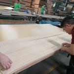 High-End Engineered Wood Veneer Grey LATI GL-X2423 Straight Grain 0.55-1.8mm For