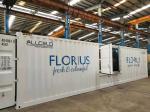 3 Pallets Vacuum Cooler For Fresh Vegetables Flowers 30mins
