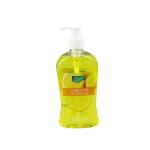Antiseptic Hand Sanitizer Gel , Scented Hand Gel Professional Chemical