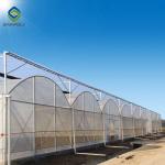 10m × 12m Heavy Duty Single Tunnel Greenhouse Plastic Tomato Greenhouse