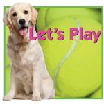 Rubber Ball Dog Toys manufcturer