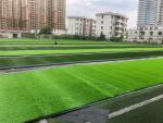 50mm Stem Shape Artificial Football Pitches With Disease Resistance