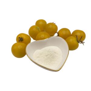 Quality Light Yellow Soy Protein Powder wholesale