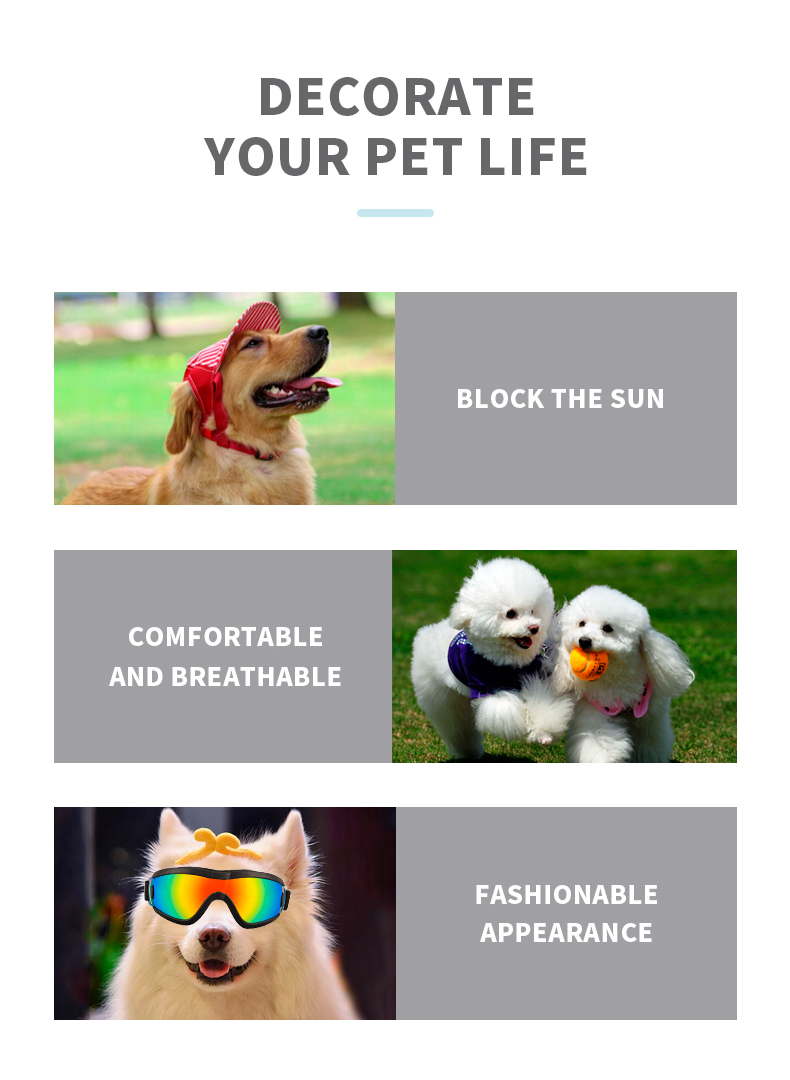 Dog Goggles Material Small Medium Pets UV Protection Wind and Sand Resistance