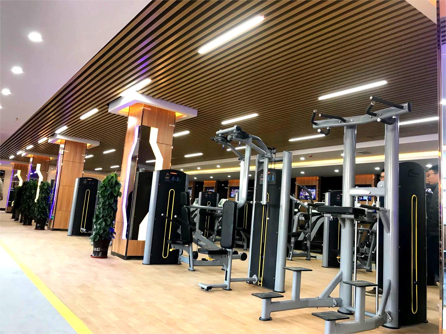 Hot Selling High Quality Commercial Gym Equipment Kickback Glute Machine