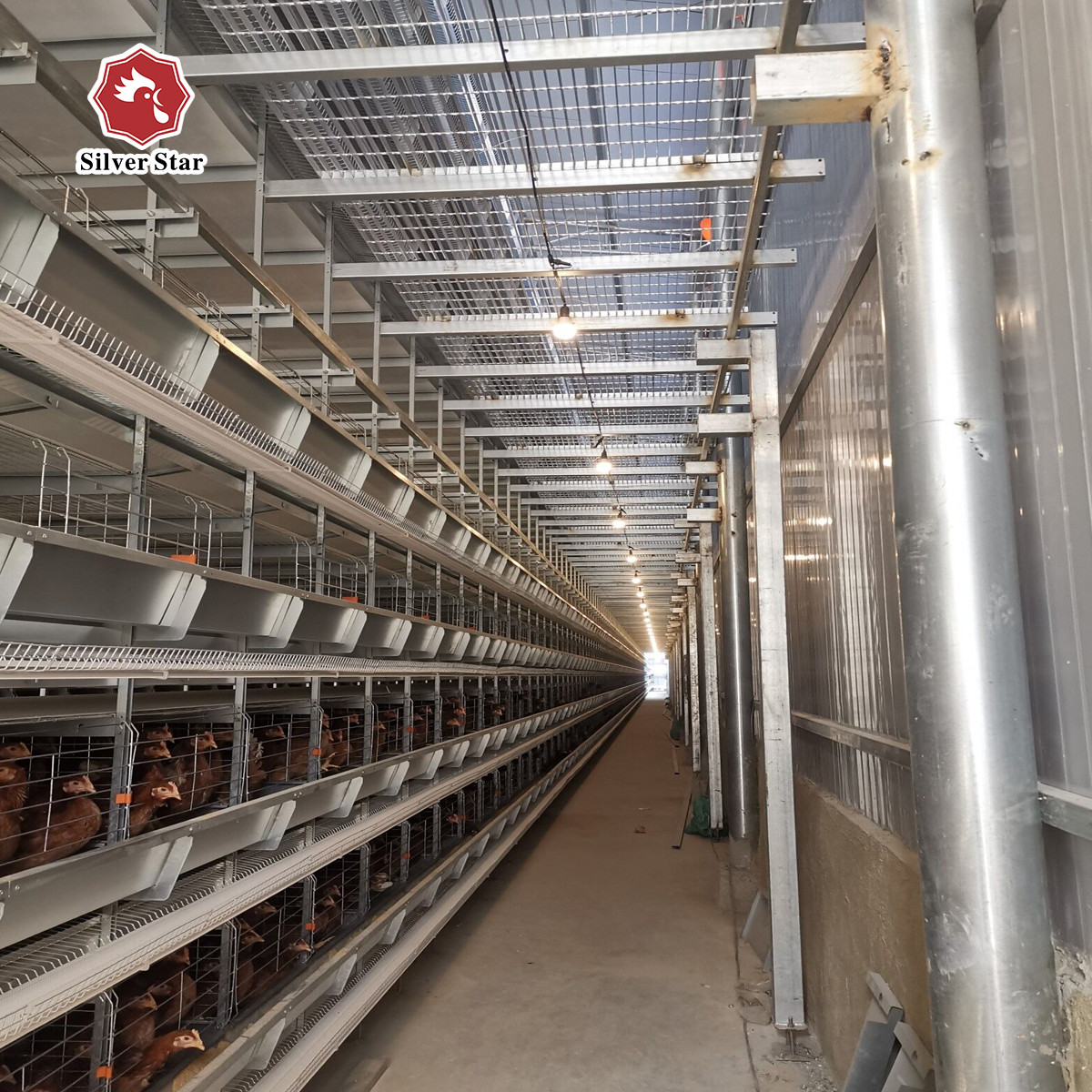 Complete Automatic Layer H Type Poultry Cage 380V Silver Color