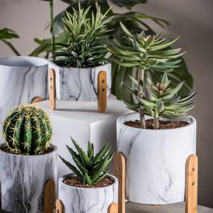 Quality Cement Flower Pots Mini Succulents Plant Pots Round Planters Tabletop Planters Cactus Planters wholesale