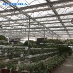 Hot Galvanized Structure Agriculture Polytunnel Greenhouse Wind Resistant Multi
