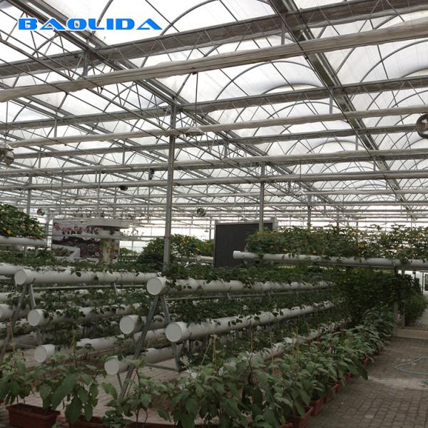 Hot Galvanized Structure Agriculture Polytunnel Greenhouse Wind Resistant Multi