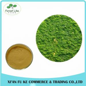 Quality Factory Supply Iceland Moss Extract Powder 10:1 - 50:1 wholesale