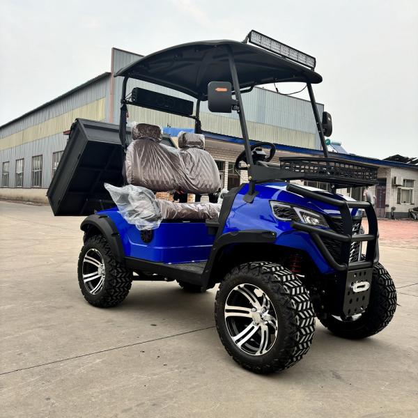 Sapphire Blue Two-Seater Electric Golf Cart With Tippable Bucket High Horsepower