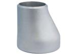 Ss304 316 321 Sandblasting Pipe Fittings Reducer Dn25