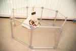 Durable Transparent Foldable Pet Playpen For Indoor And Outdoor