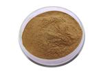 USP Grade Organic Ginkgo Biloba Powder