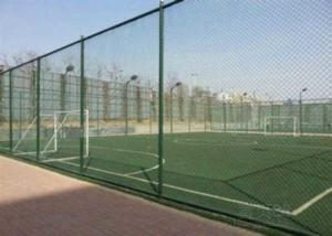 Quality Plastic Coating Flat Surface Metal Chain Link Fence wholesale