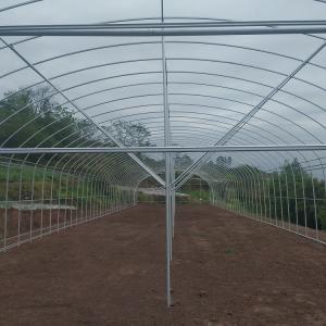Quality Single Span Greenhouse Tunnel Plastic Film Covering Flower Vegetable Support wholesale