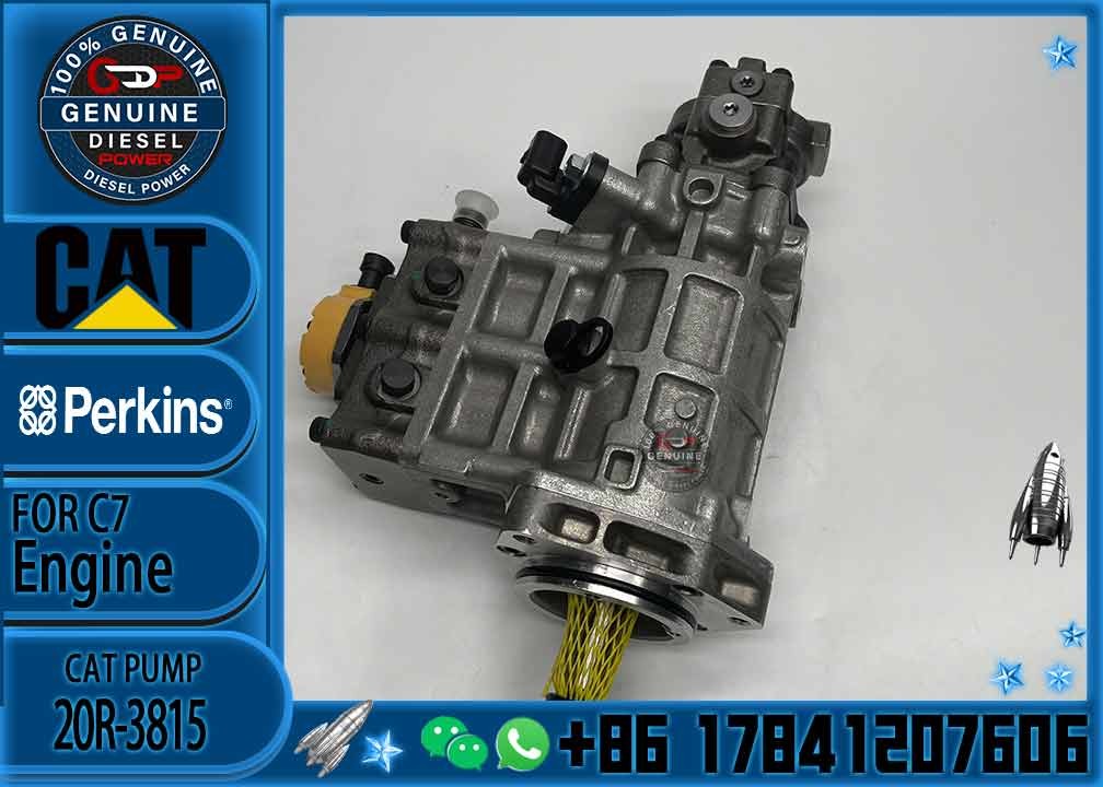 Factory Custom Excavator Spare Parts E320d Cat Engine Parts C6.4 Diesel Engine Fuel Injection Pump 368-9171 20R-3815
